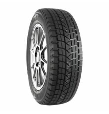 Nereus 225/55R19 99T NS806